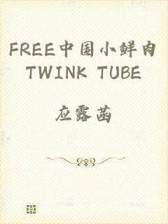 FREE中国小鲜肉TWINK TUBE